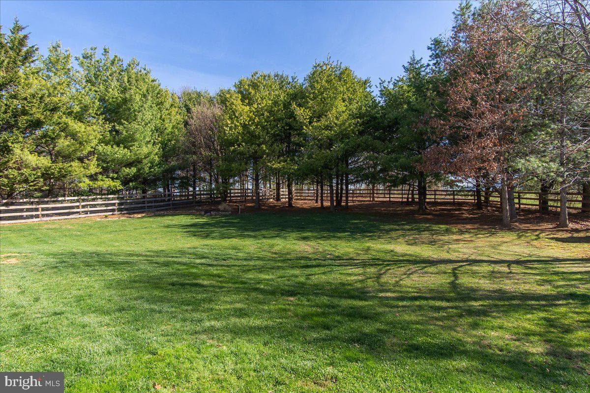 20376 Splendor View Terrace photo 37