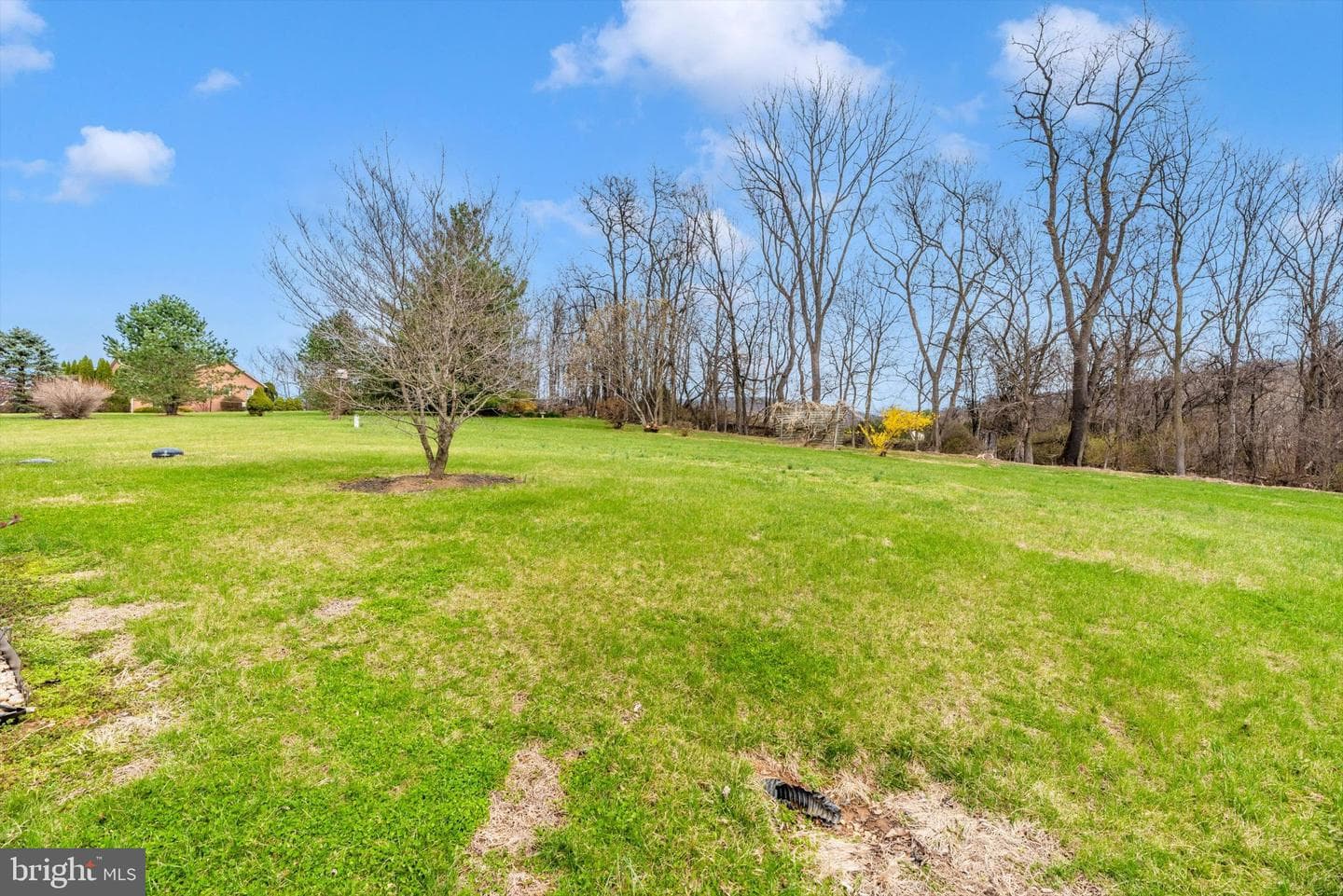 20405 Gap Court photo 43