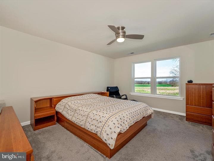 12661 Barton Drive photo 33
