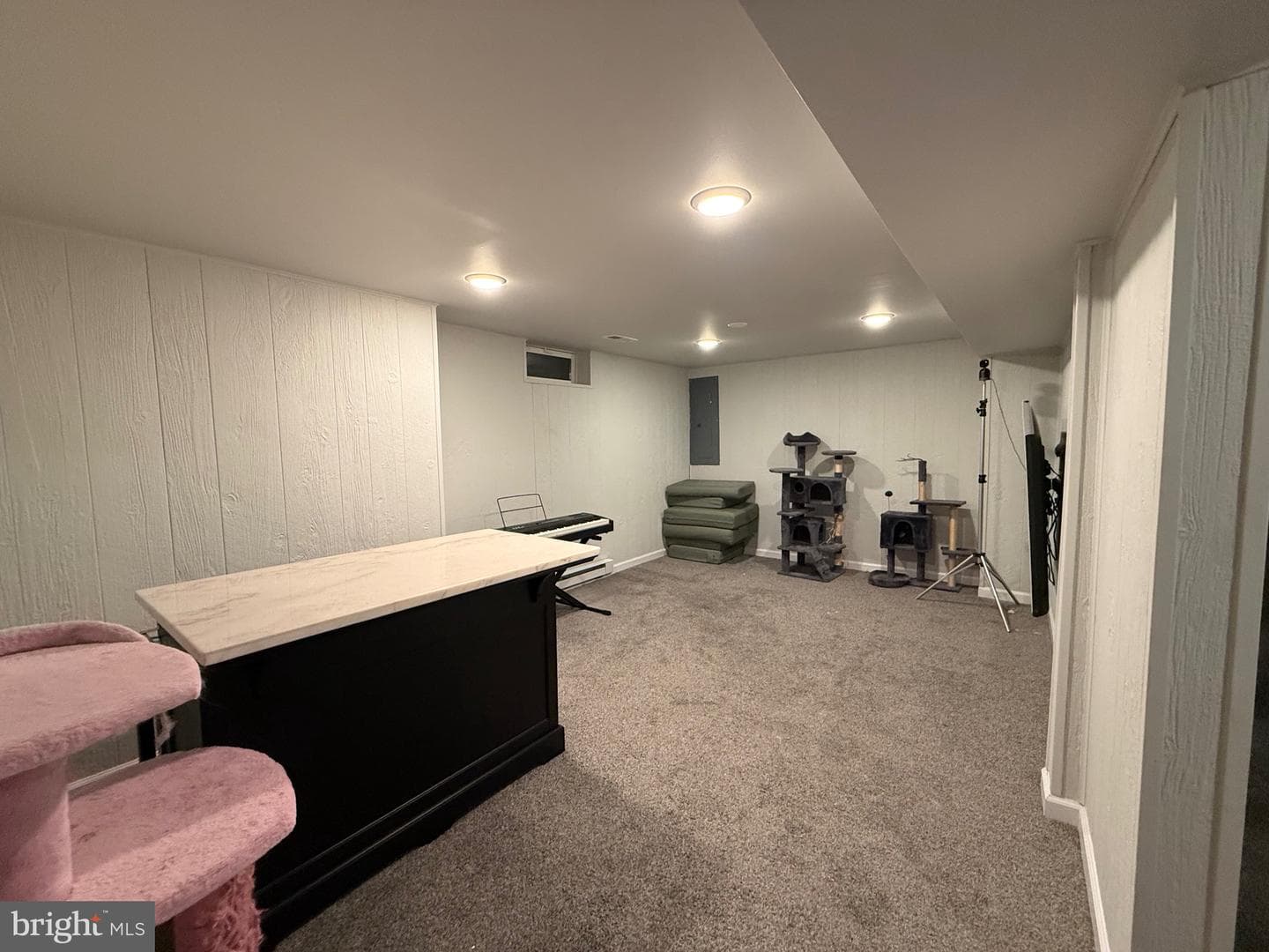 328 Bryan Place photo 22