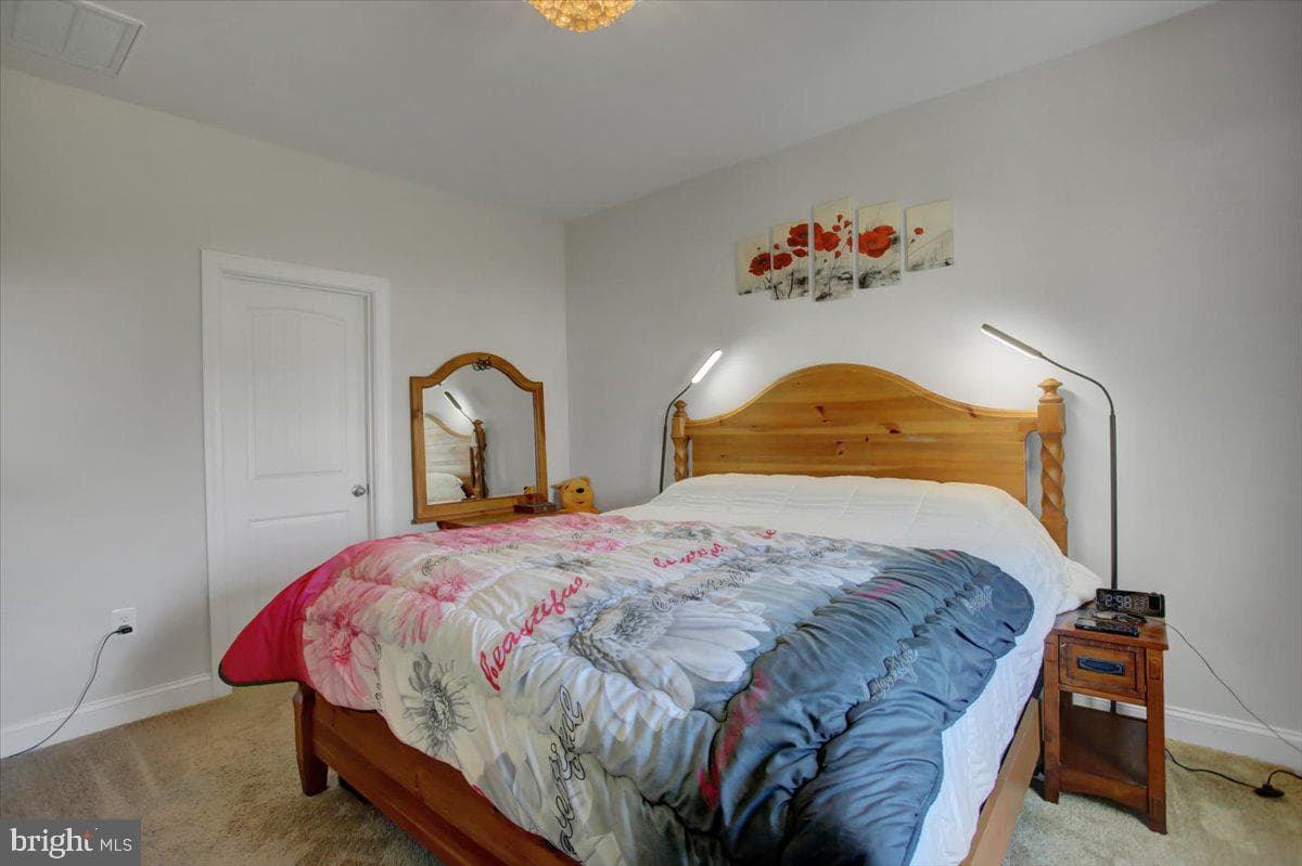 18732 Ballantyne Way photo 25