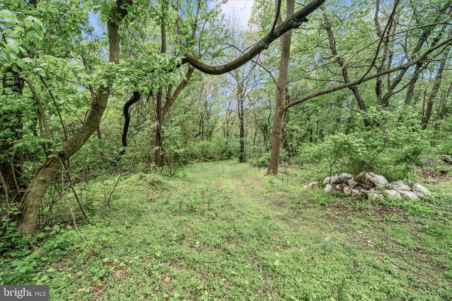 20807 Townsend Road photo 56