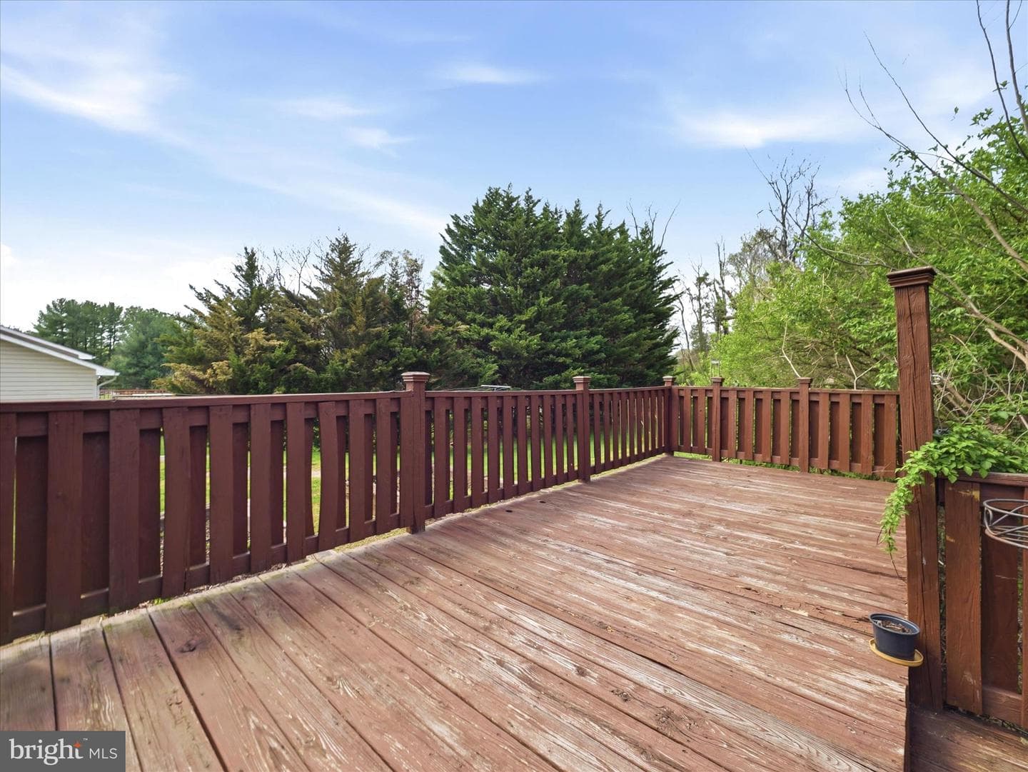 8 Taylor Drive photo 12