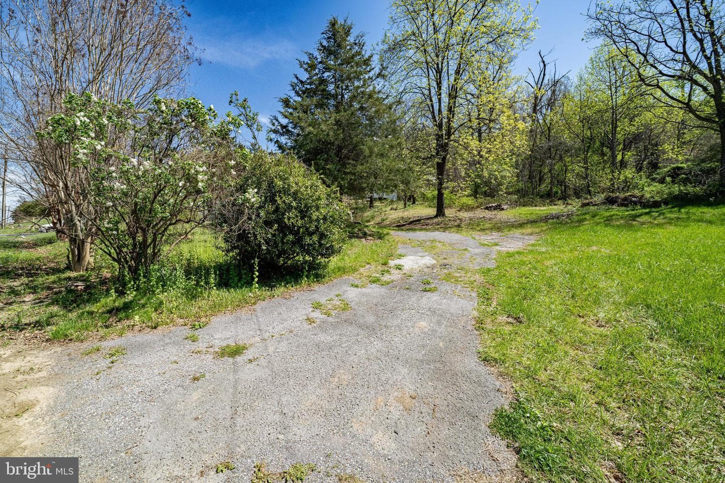 10635 Crystal Falls Drive photo 11