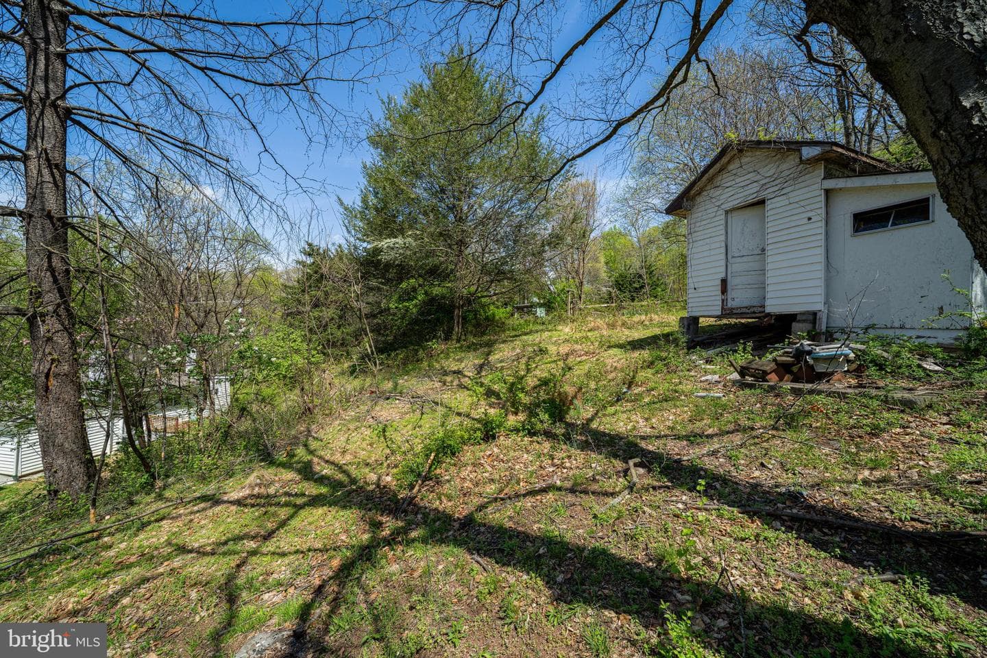 10635 Crystal Falls Drive photo 14