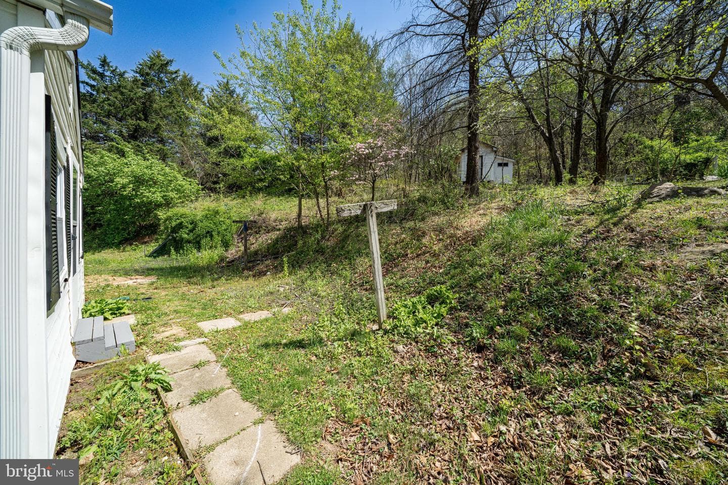 10635 Crystal Falls Drive photo 16