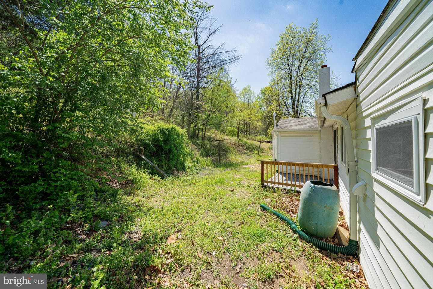 10635 Crystal Falls Drive photo 17