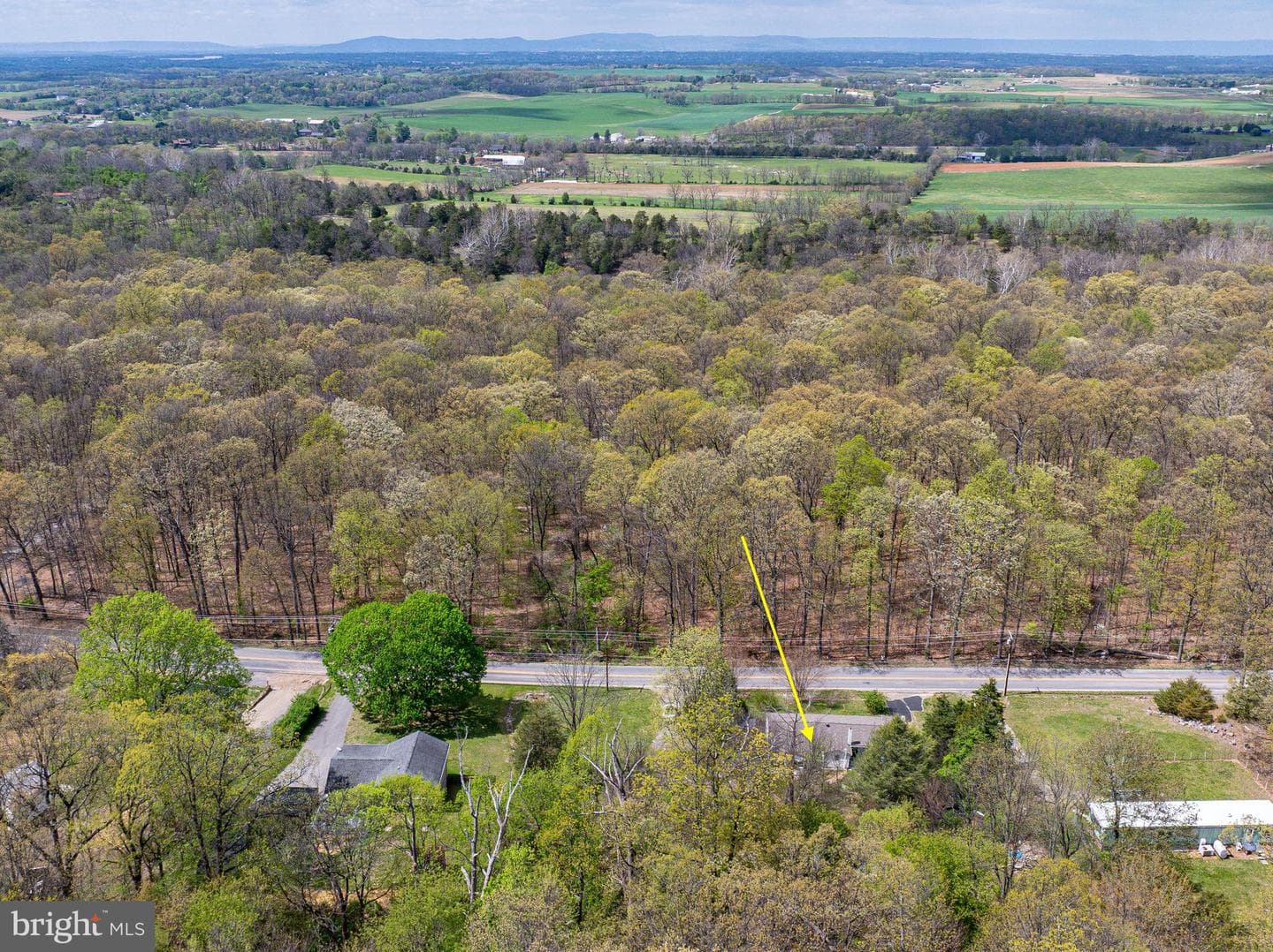 10635 Crystal Falls Drive photo 59