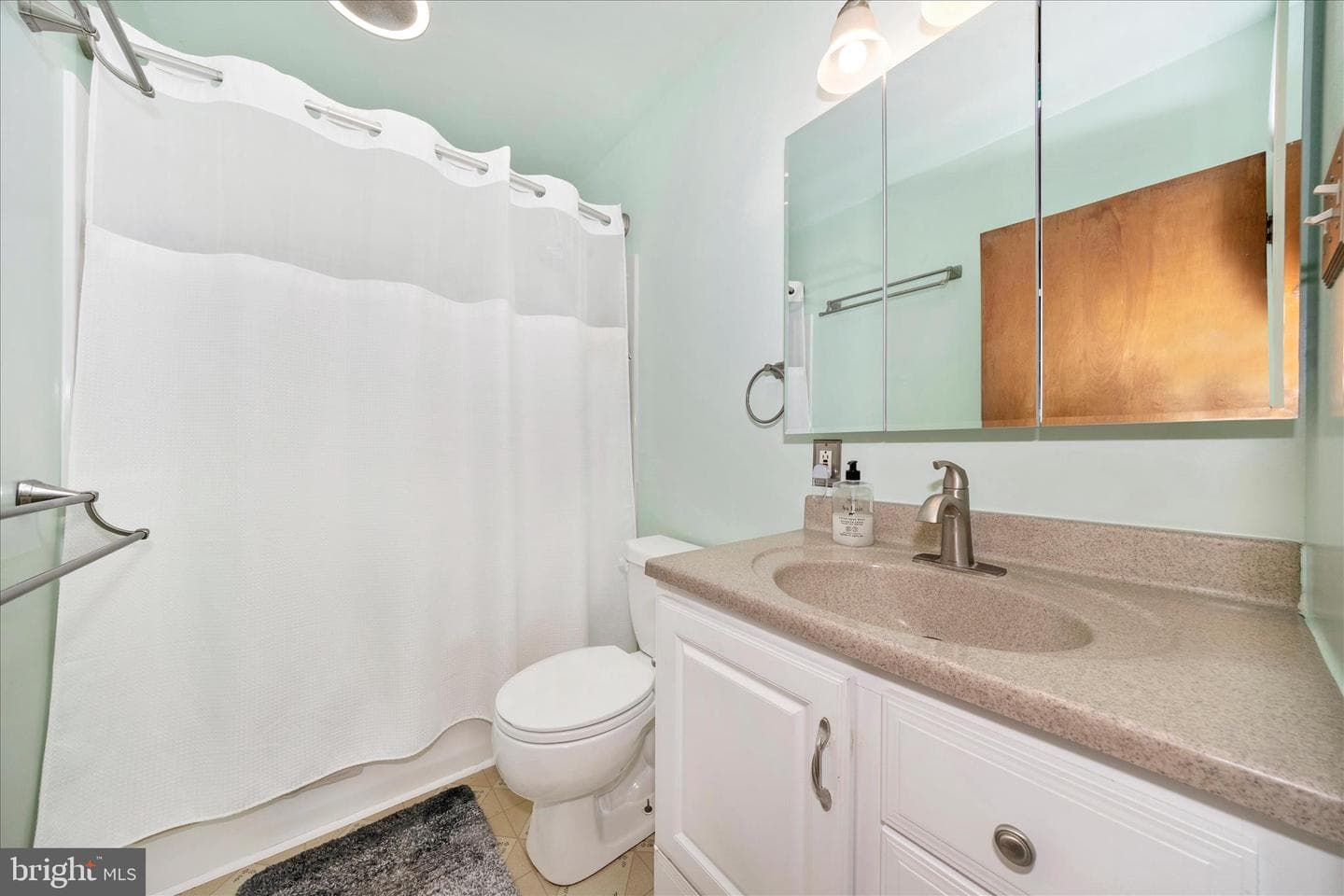 3 E Chestnut Street photo 34