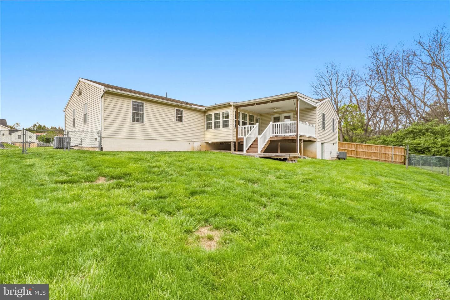 19723 Marigold photo 44