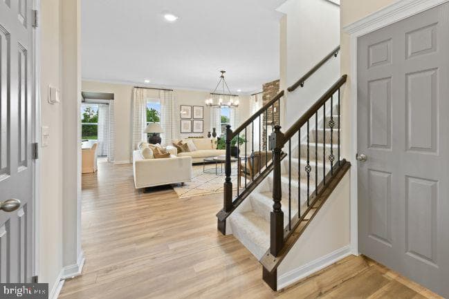 20102 Regent Circle photo 15