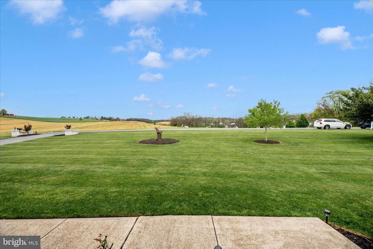 19845 Toms Road photo 52