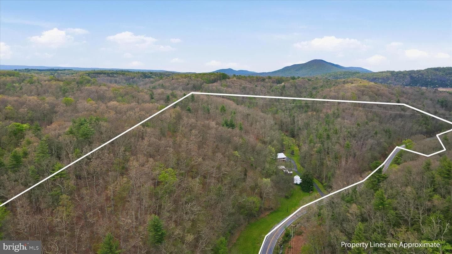 13834 Hollow Road photo 50