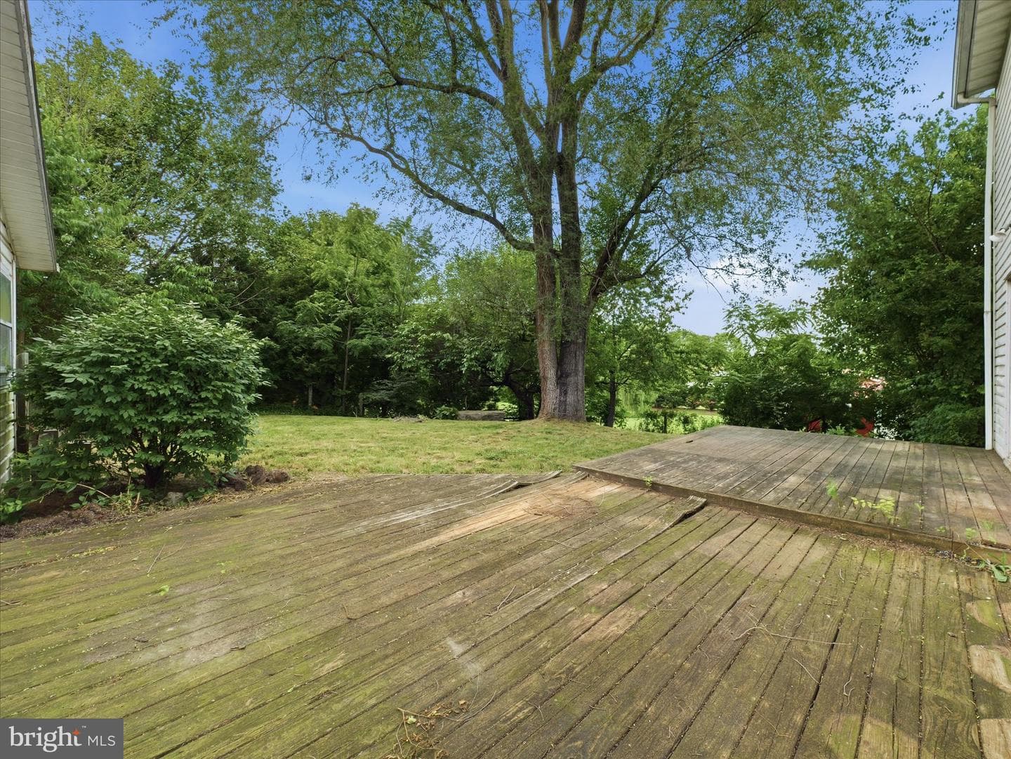 9820 Wandering Lane photo 44