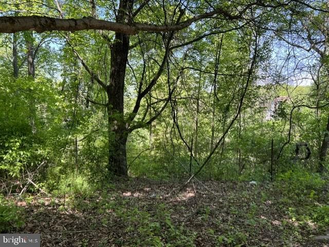 21410 Swope Road photo 5