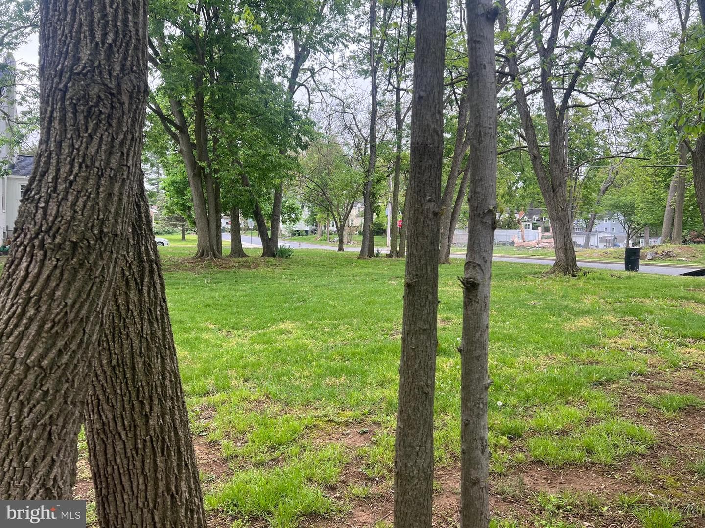 1005 Woodland Way photo 17