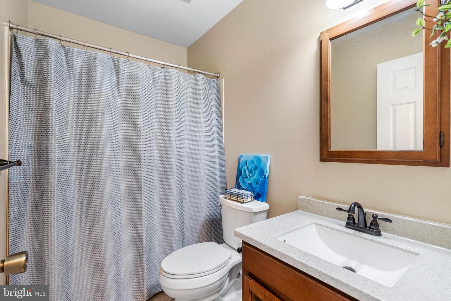14 Princeton Place photo 15