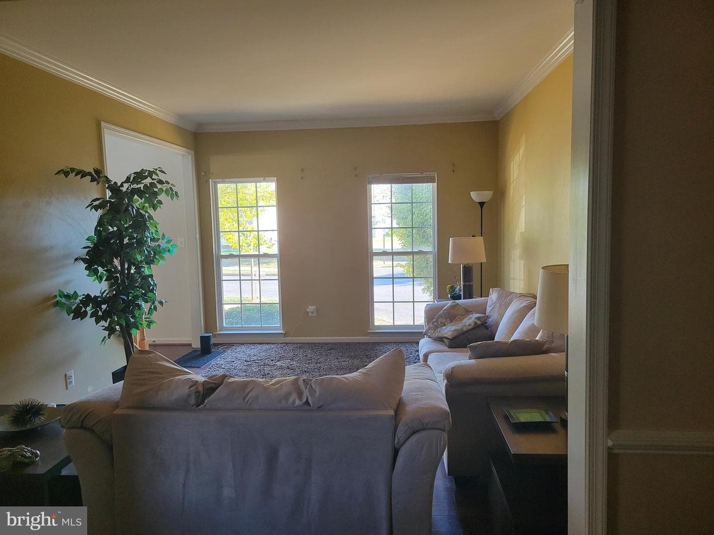 17510 Magma Court photo 12