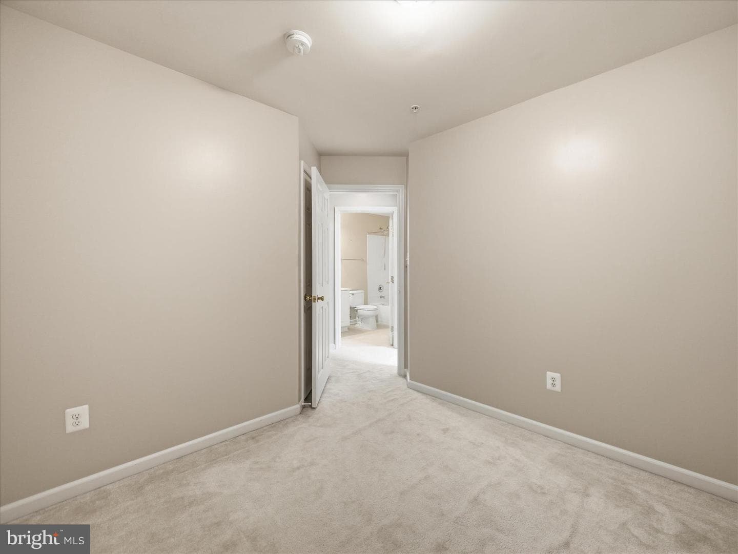 17656 Potter Bell Way photo 28