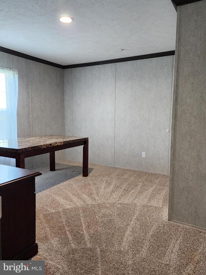 14125 Zinnia Lane photo 47