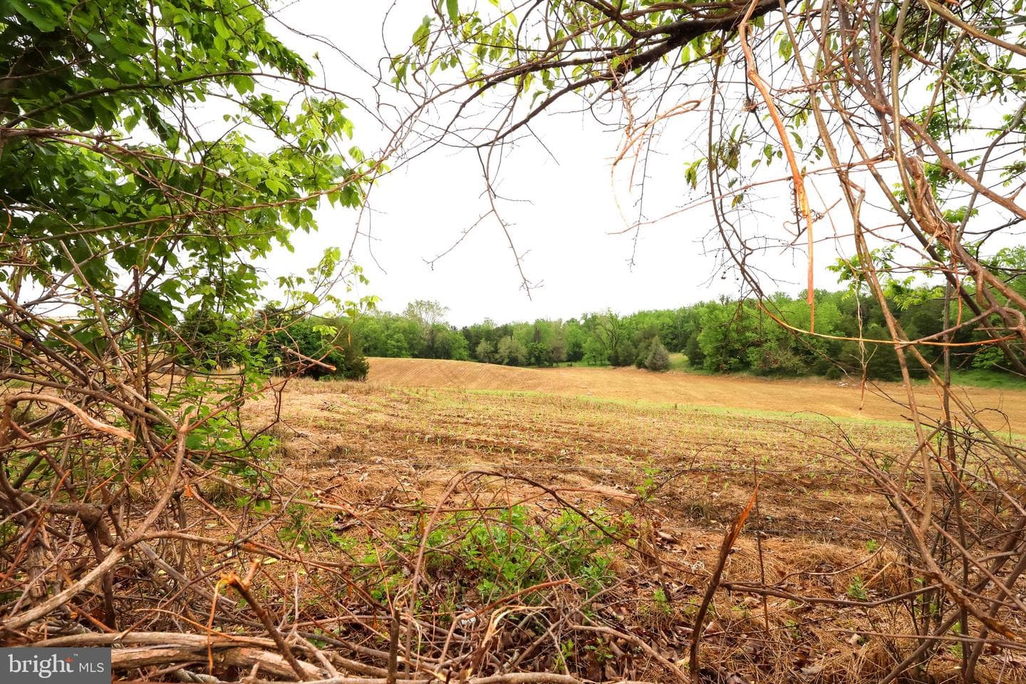 16919 Shaffer Road photo 58