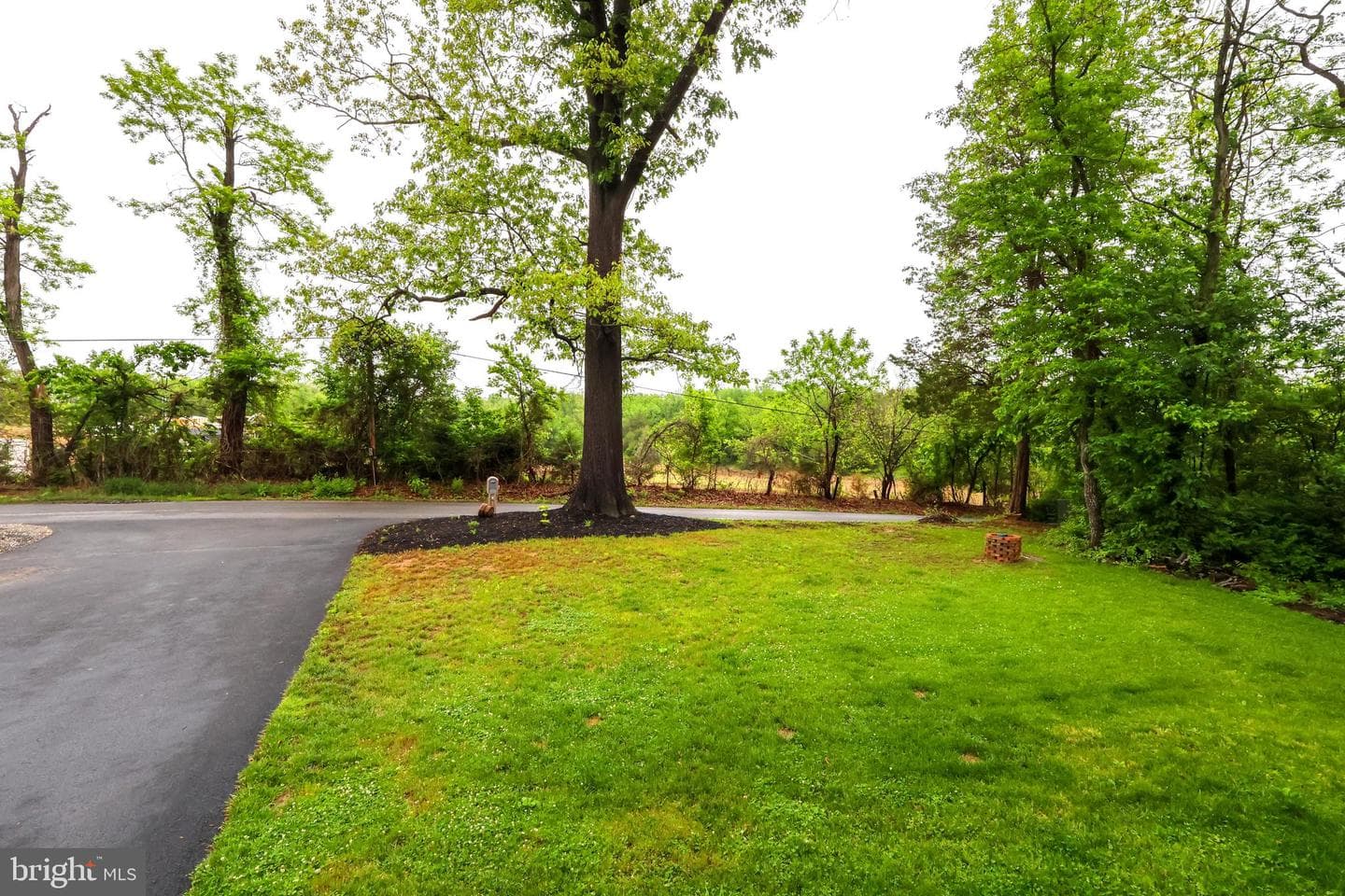 16919 Shaffer Road photo 66