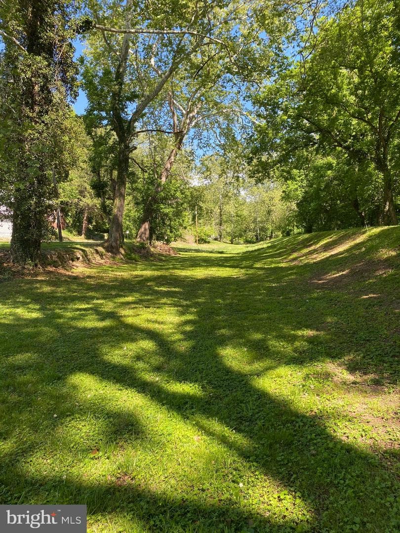 17416 Millers Sawmill Road photo 10