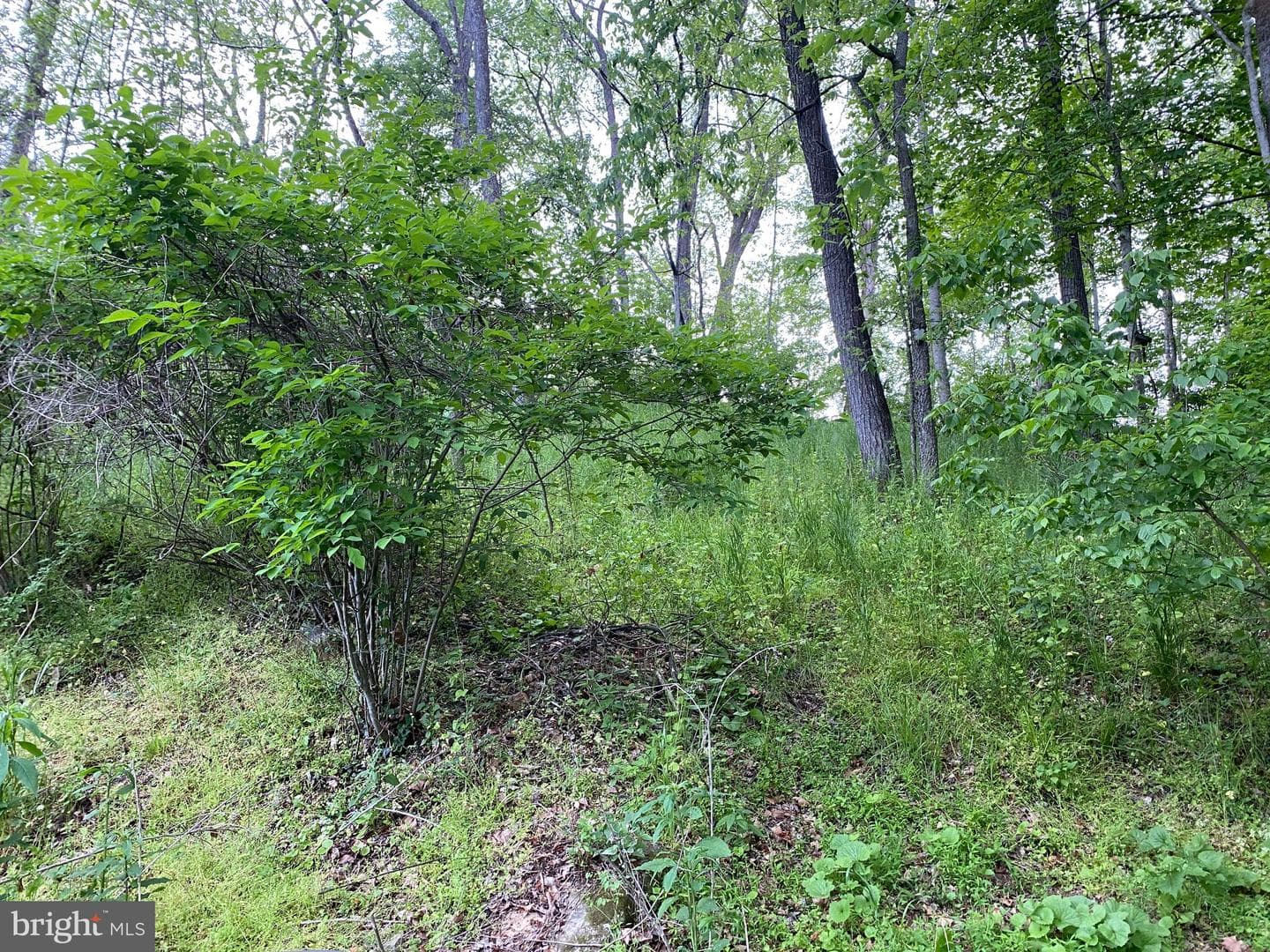 17416 Millers Sawmill Road photo 16