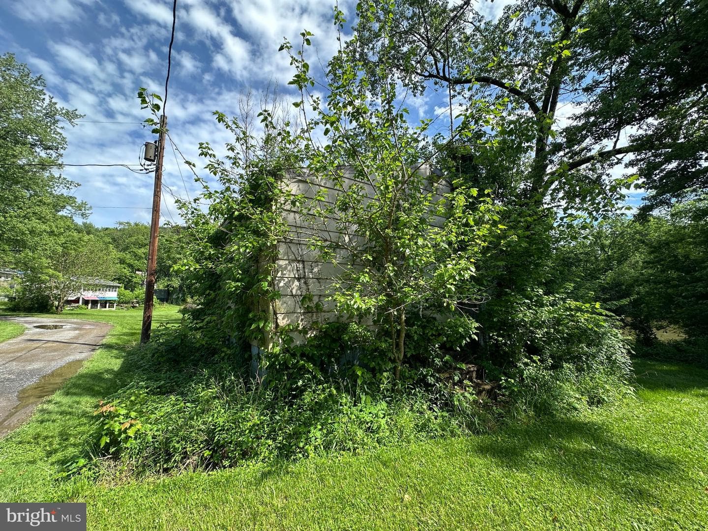13726 Hopps Landing Rd photo 49