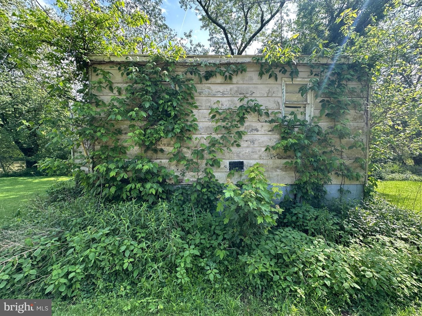 13726 Hopps Landing Rd photo 51