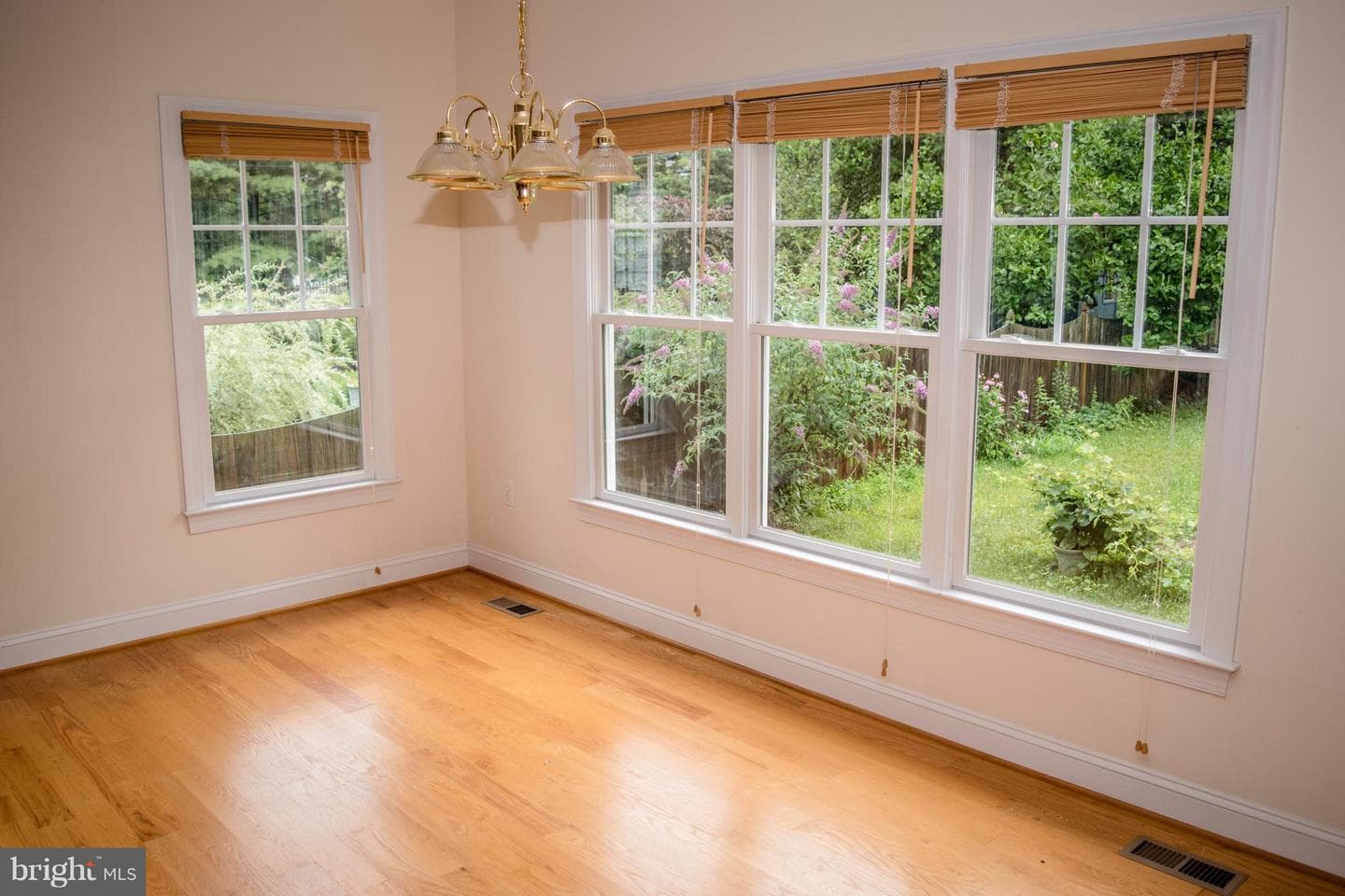 1342 The Terrace photo 14