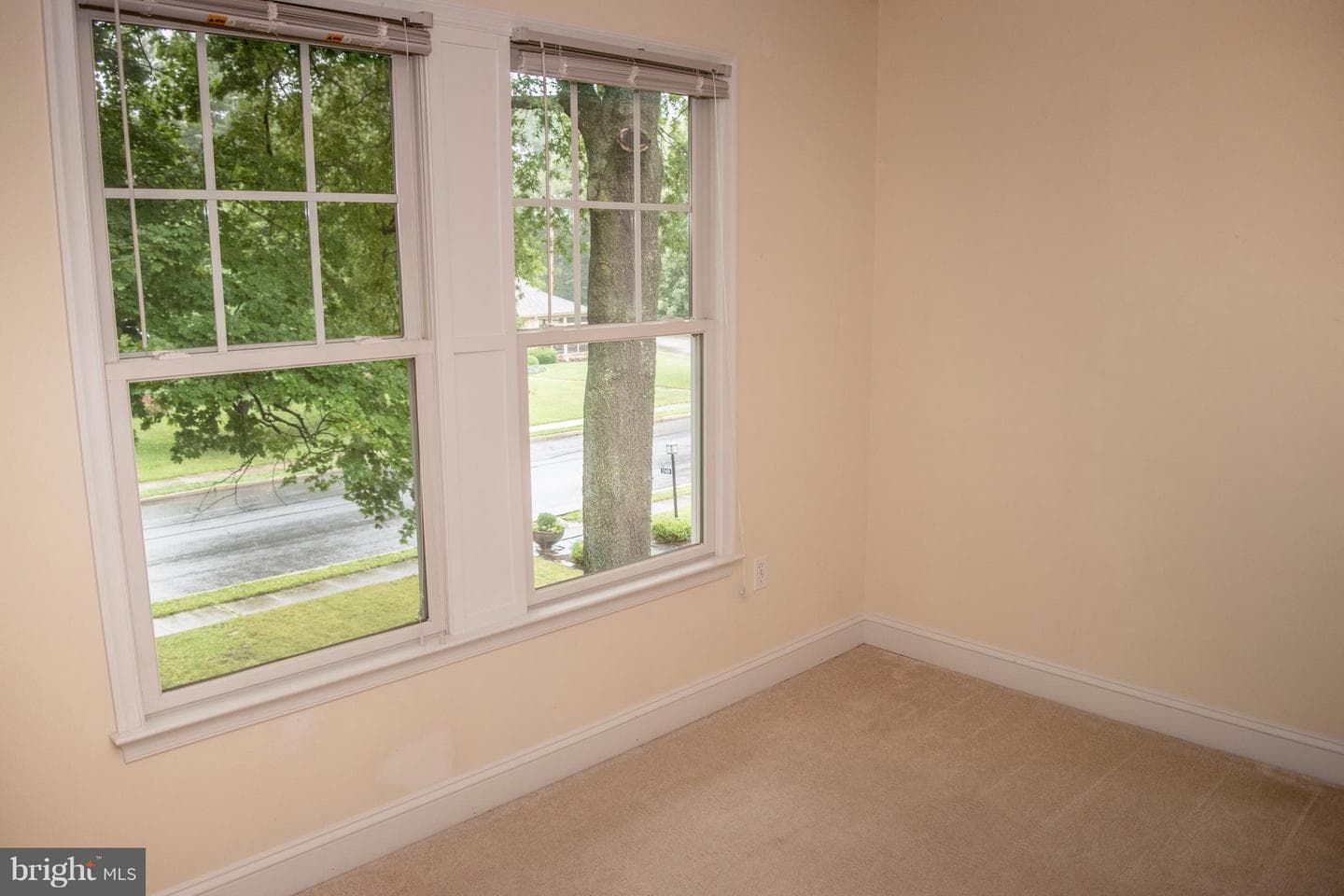1342 The Terrace photo 24