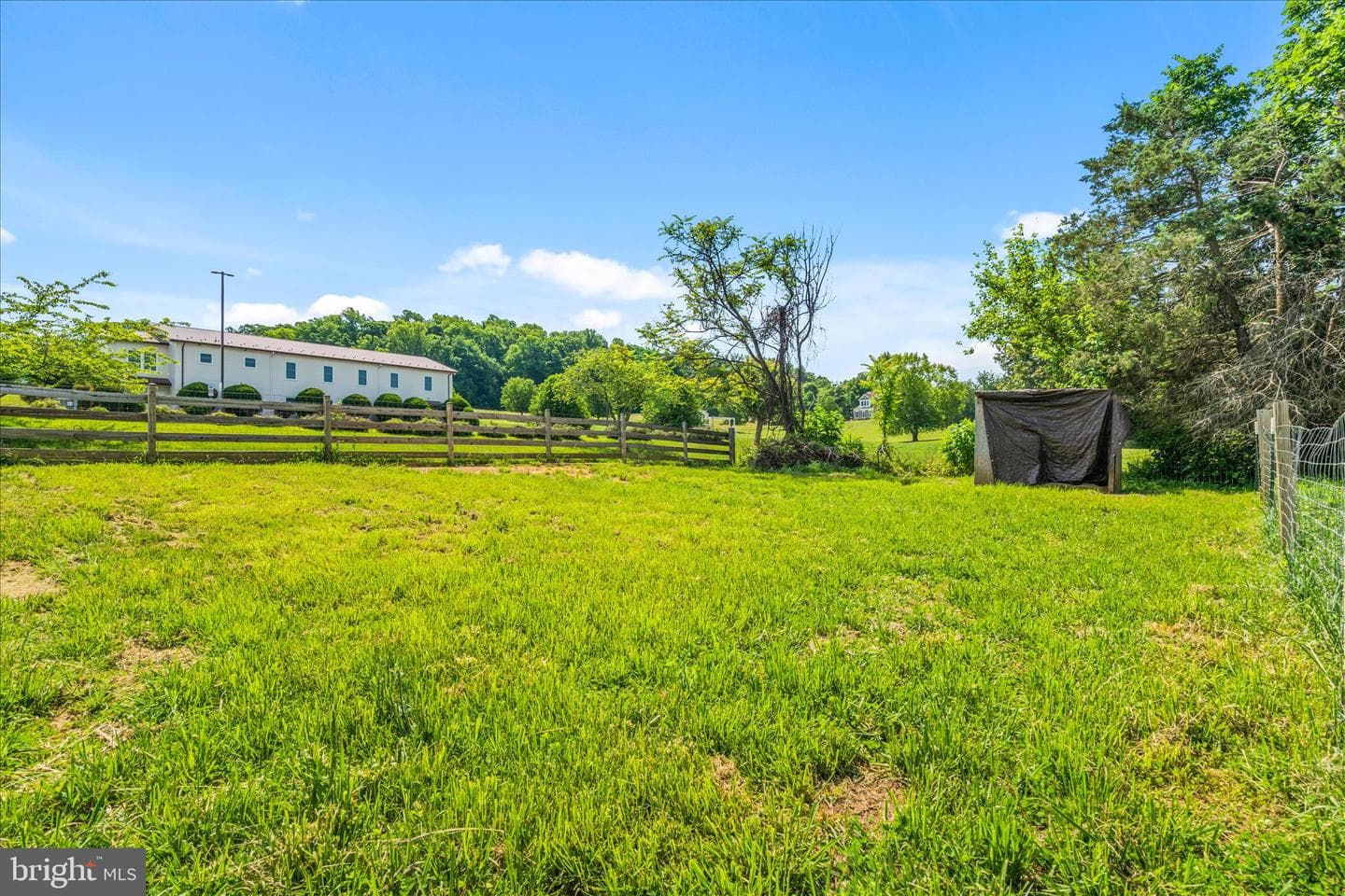 20219 Locust Grove Road photo 37