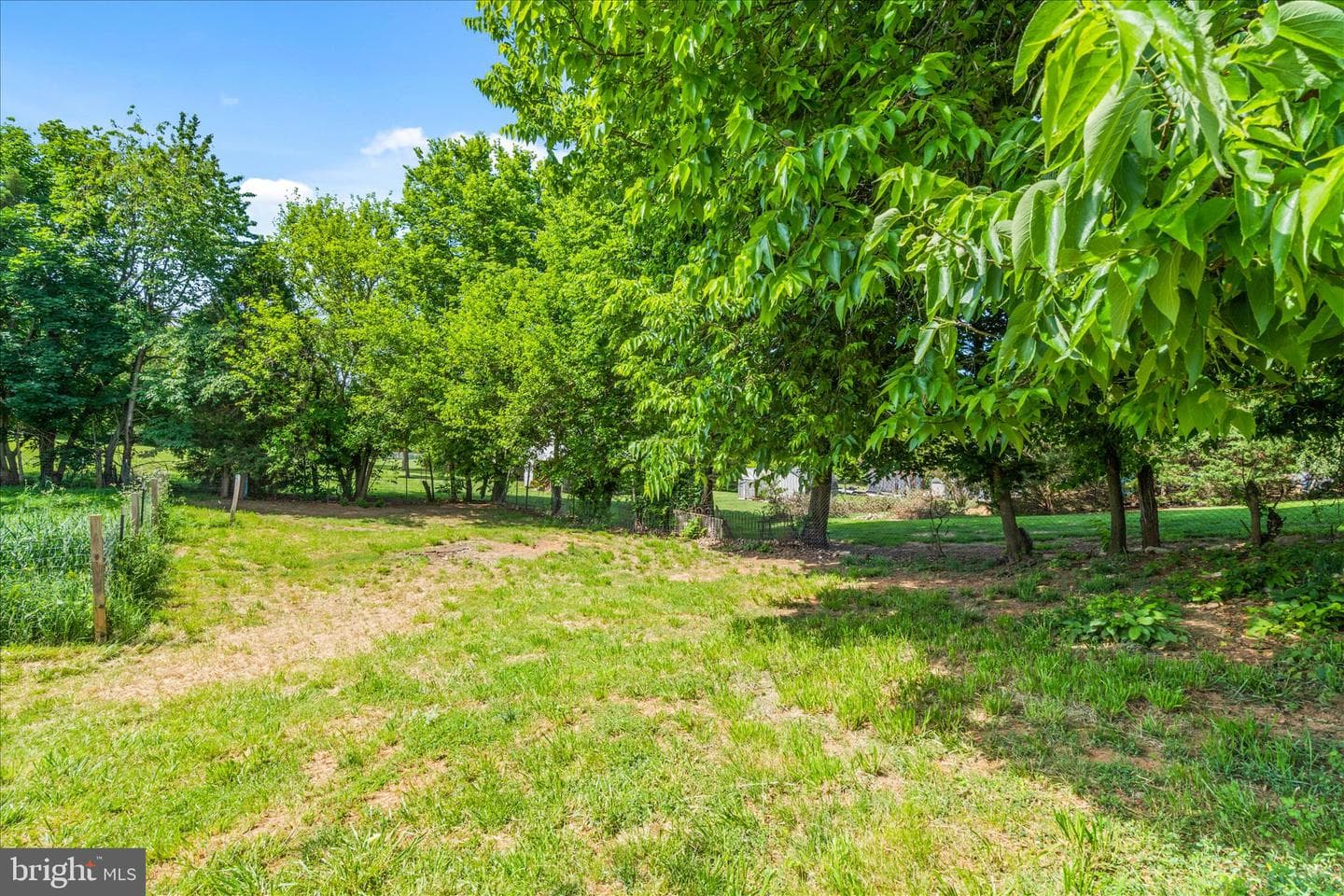 20219 Locust Grove Road photo 39