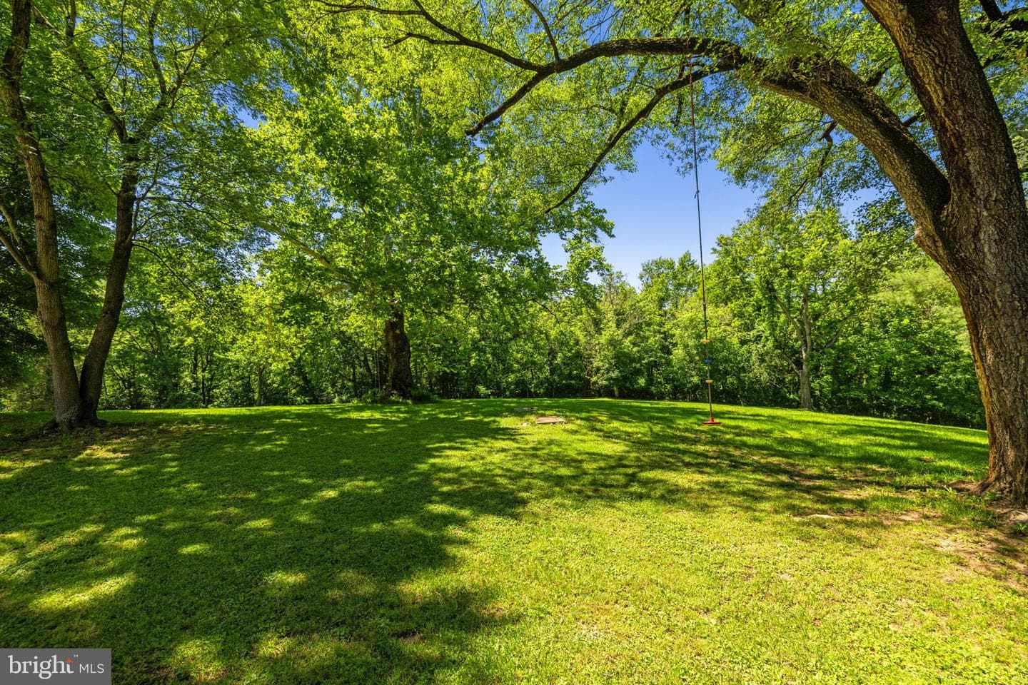 16318 Canal Road photo 52