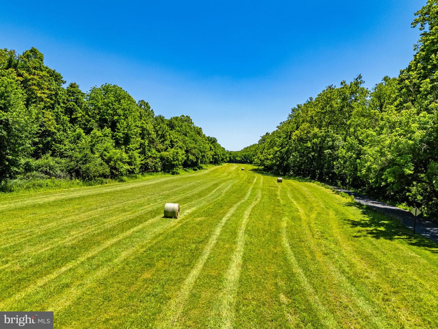 16318 Canal Road photo 7