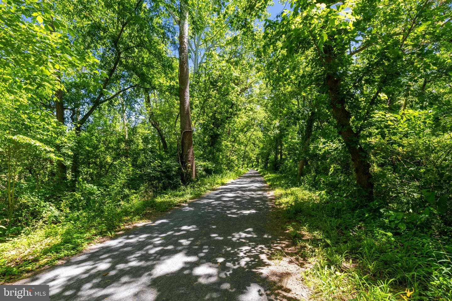 16318 Canal Road photo 73