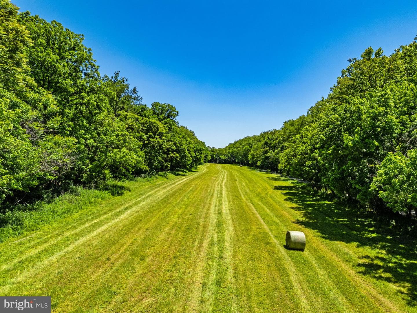 16318 Canal Road photo 9