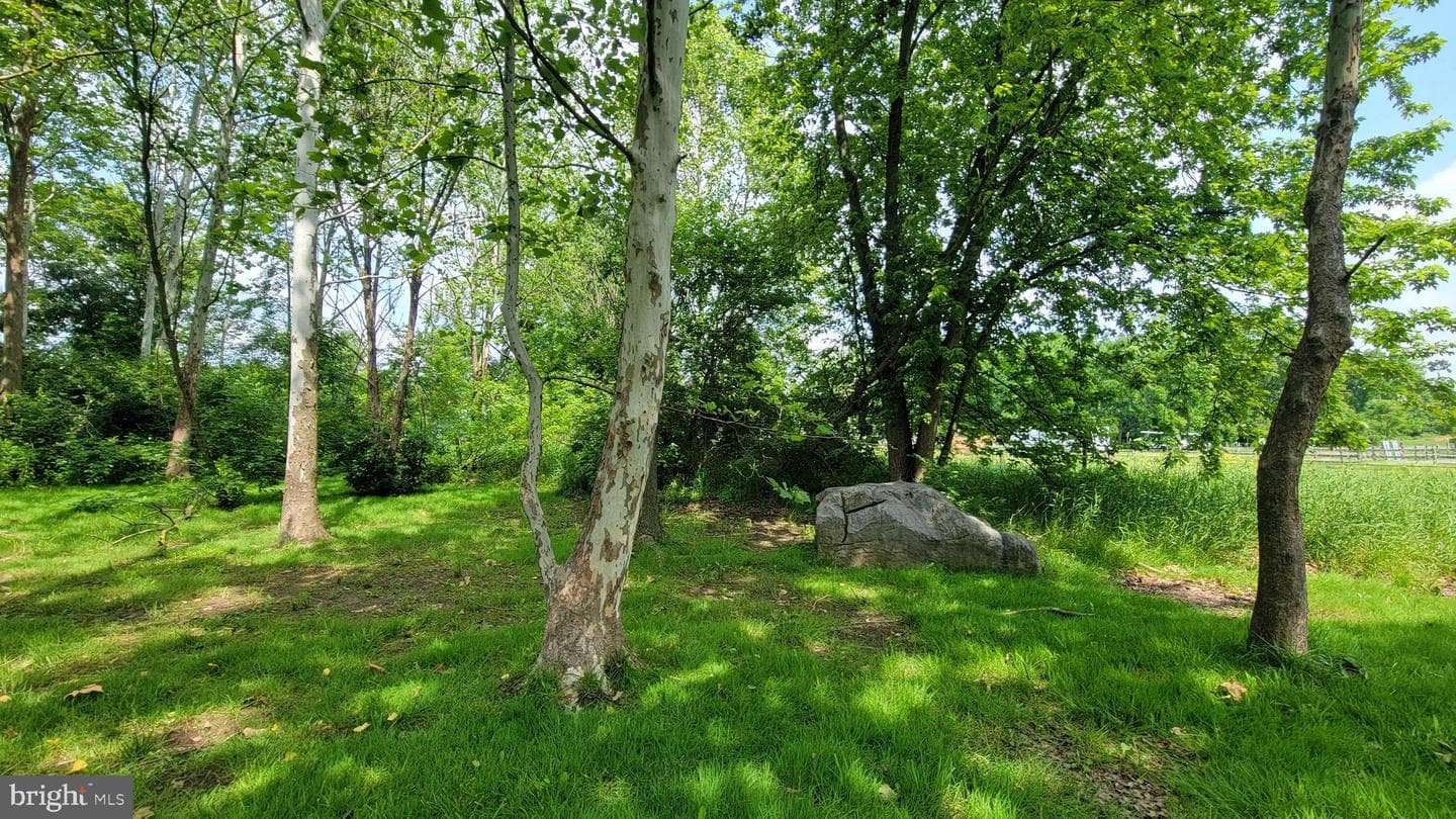 18024 Edith Avenue photo 27