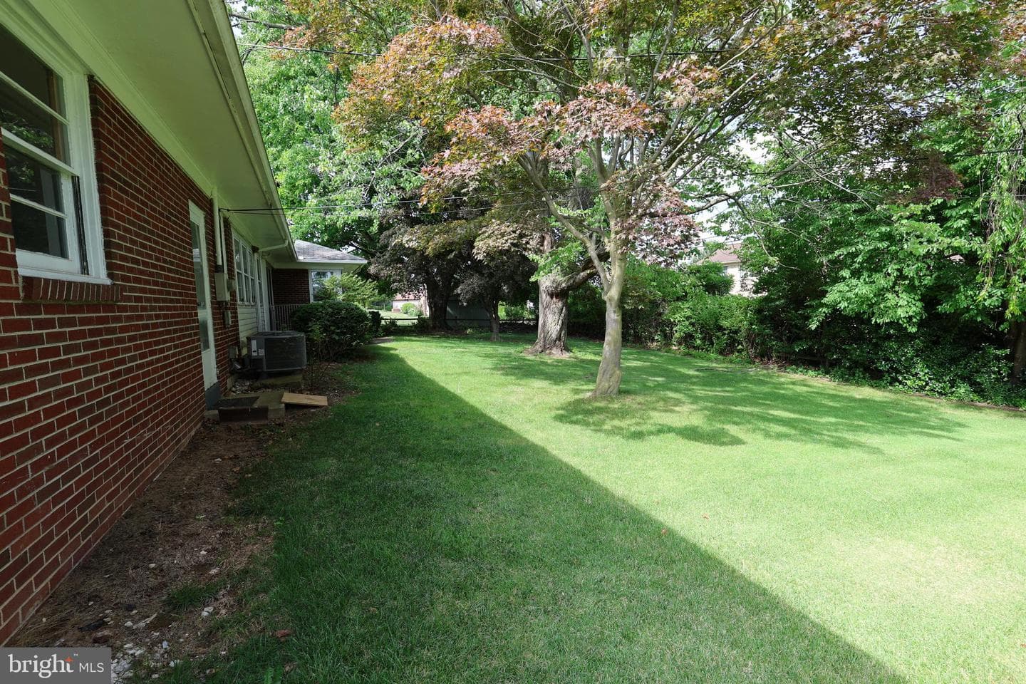 12919 The Terrace photo 3