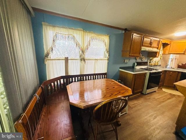 11901 Heather Drive photo 26