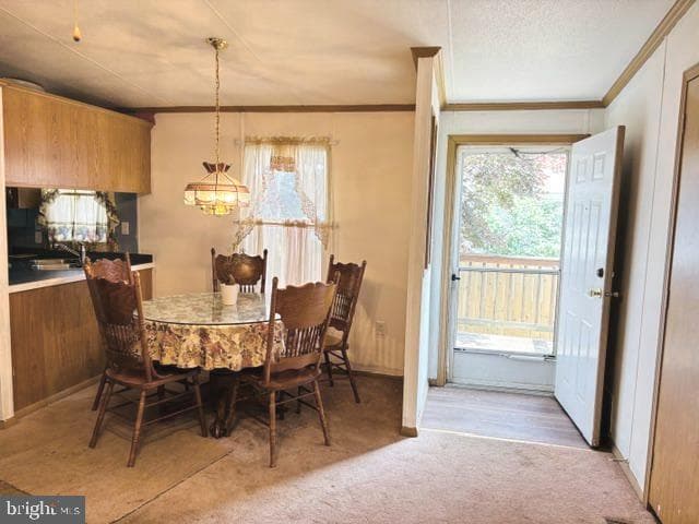 11901 Heather Drive photo 29