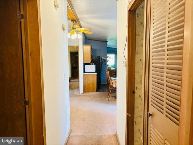 11901 Heather Drive photo 49