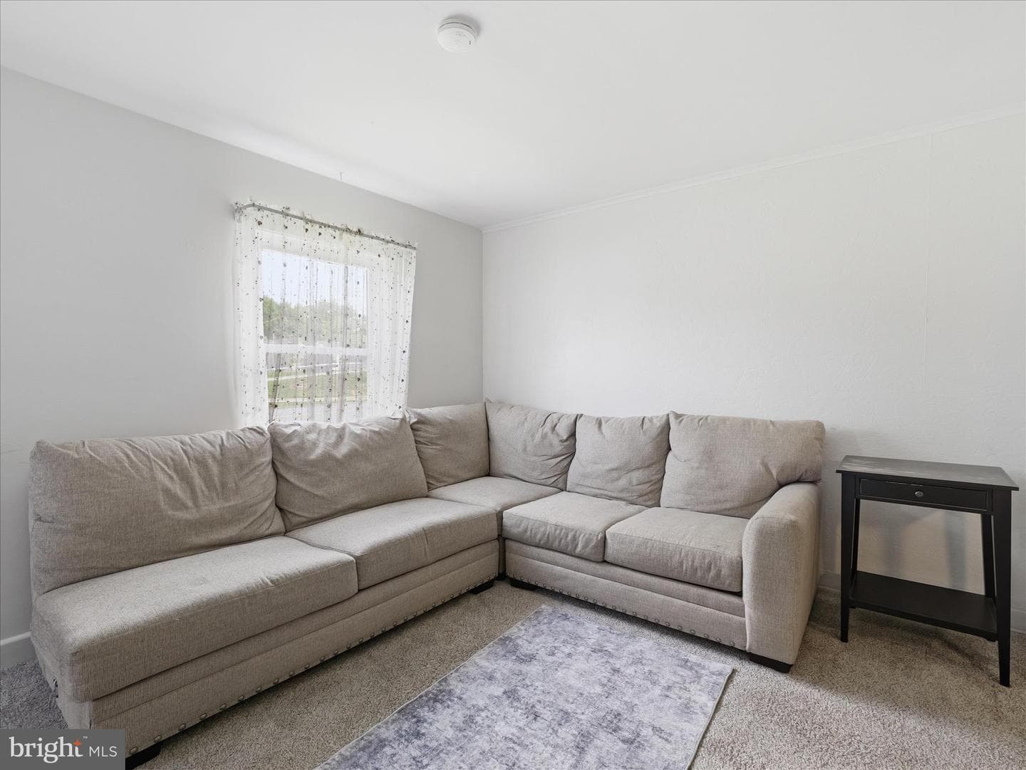 123 Belview Avenue photo 6