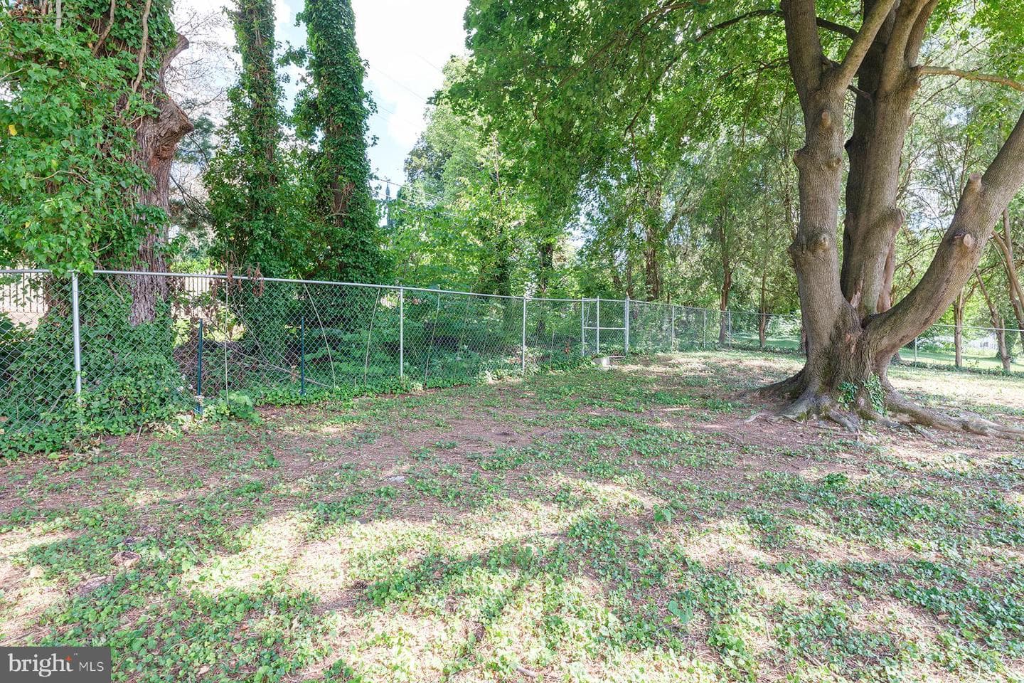 1046 The Terrace photo 41