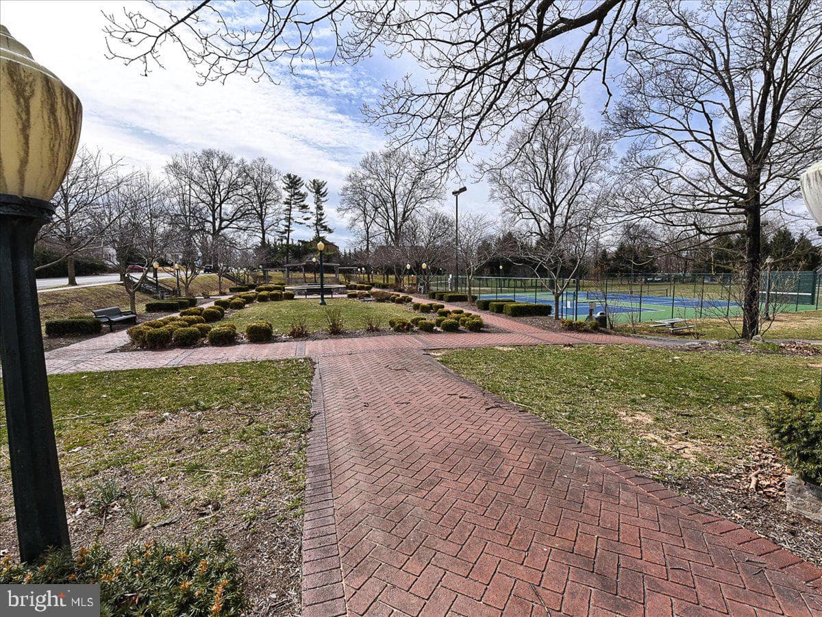 1525 Iris Court photo 61