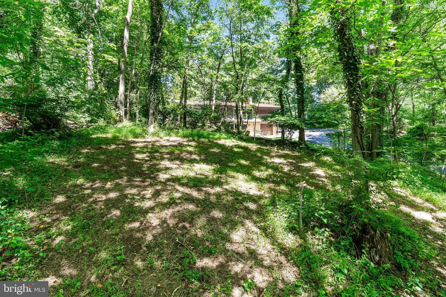 9838 Garis Shop Road photo 8