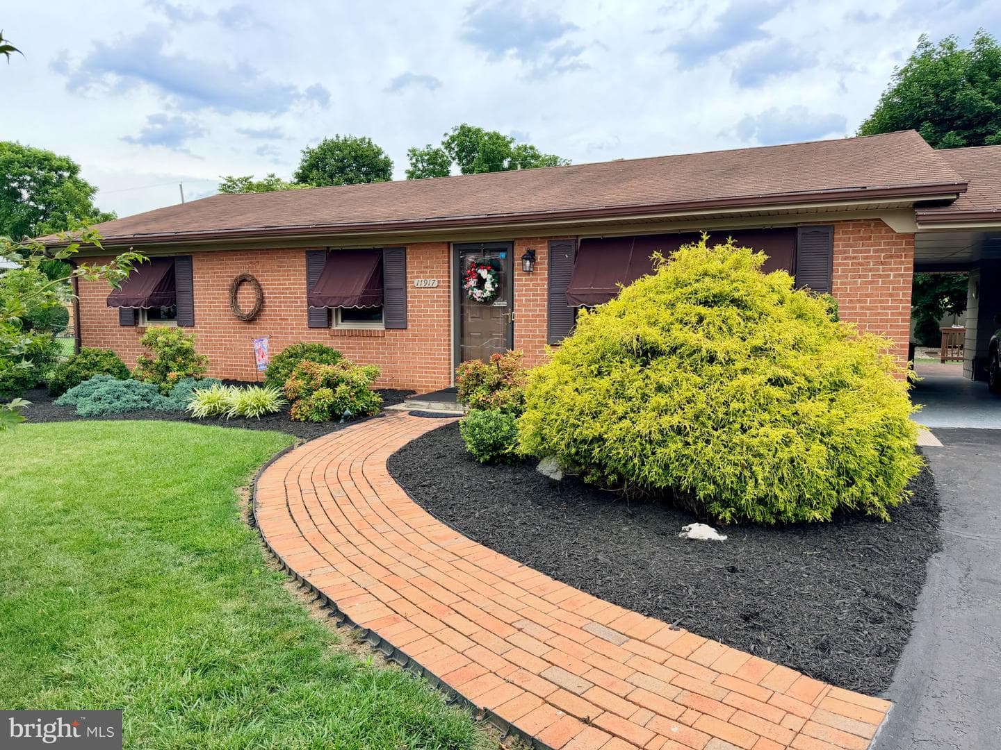11917 Comanche Drive photo 3