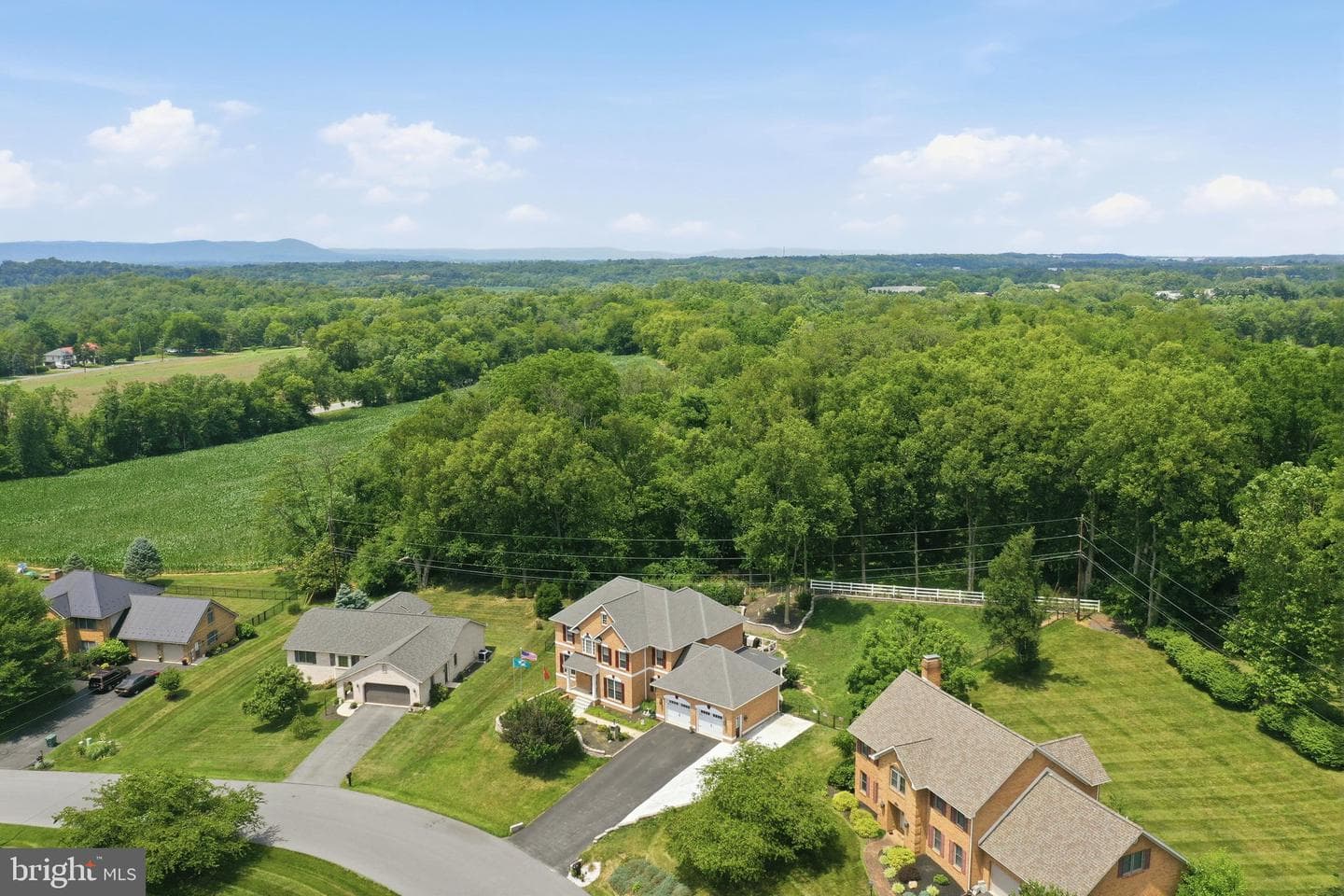 10738 Apple Tree Ln photo 66