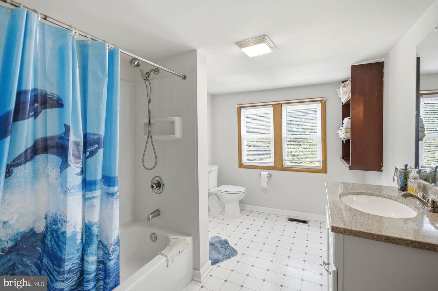 221 Dale Street photo 20